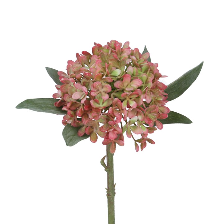 gisela graham Pick - Antique Pink Hydrangea Mini