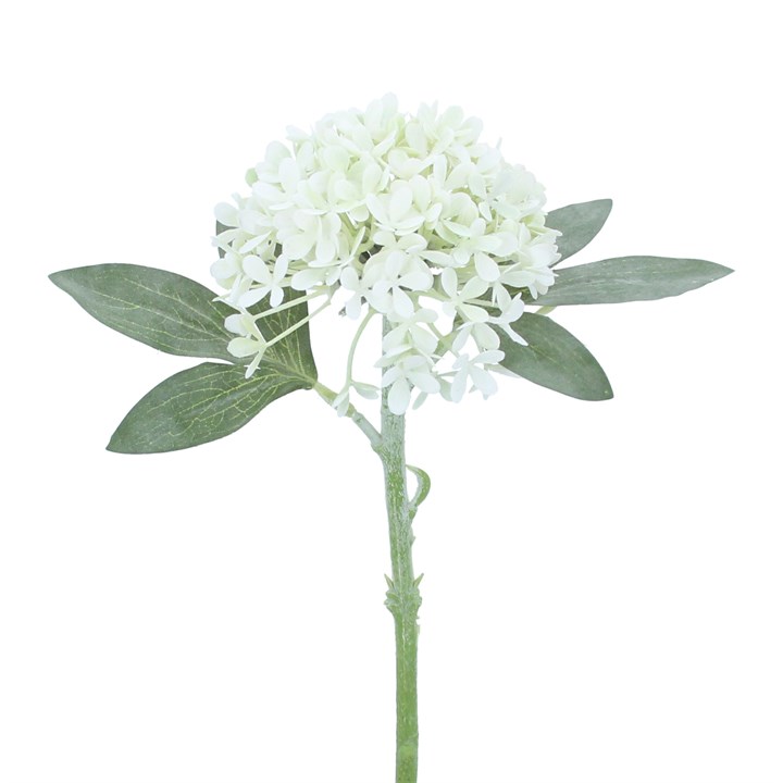 gisela graham Pick - Antique White Hydrangea Mini