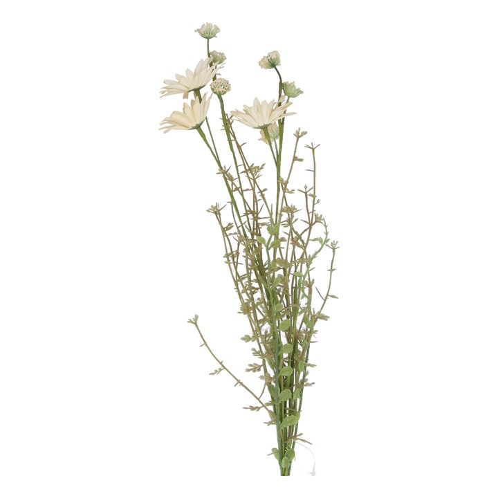 gisela graham Pick - Antique White Wild Daisy