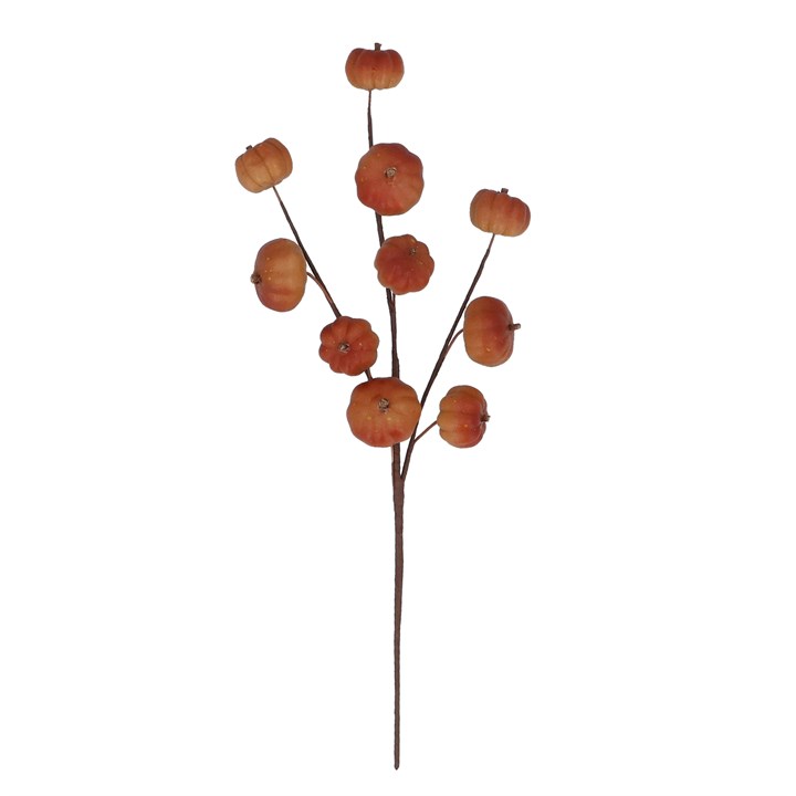 gisela graham Pick - Mini Pumpkin