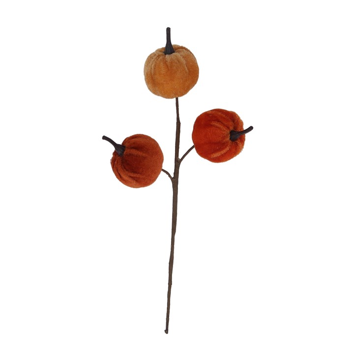 gisela graham Pick - Velvet Autumn Mix Pumpkin