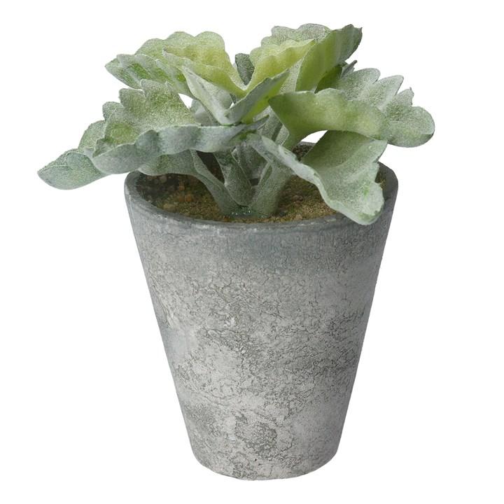 gisela graham Potted Plant - Faux Curly Echeveria