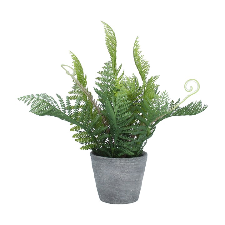 gisela graham Potted Plant - Faux Fern with Tendrils