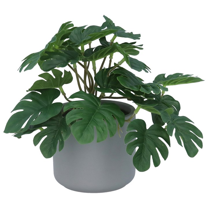 gisela graham Potted Plant - Faux Mini Swiss Cheese