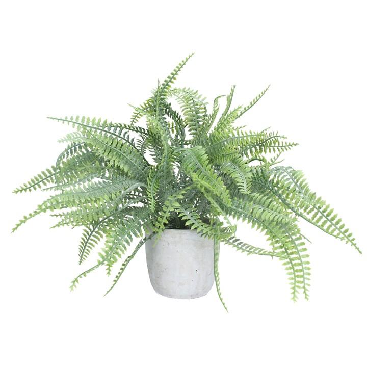 gisela graham Potted Plant - Faux Spider Fern