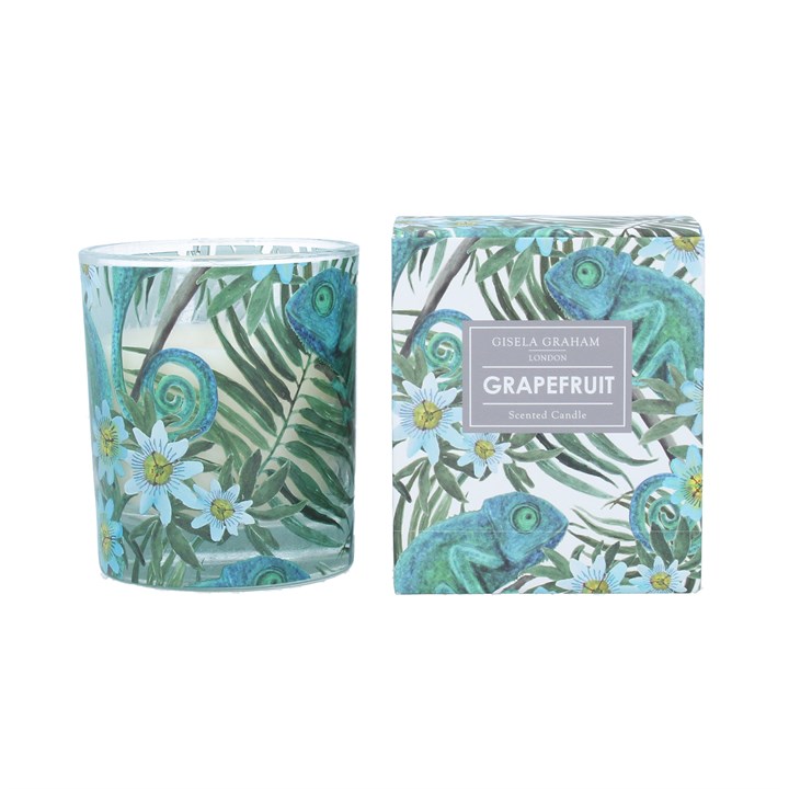 gisela graham Scented Boxed Candle - Chameleon