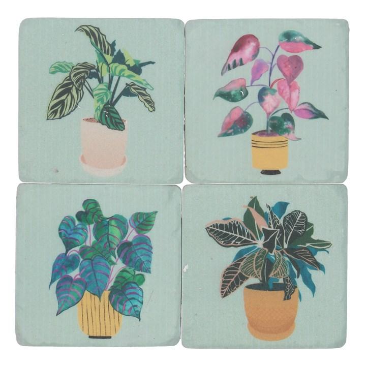 gisela graham Set of 4 Resin Coasters - Pot Plants