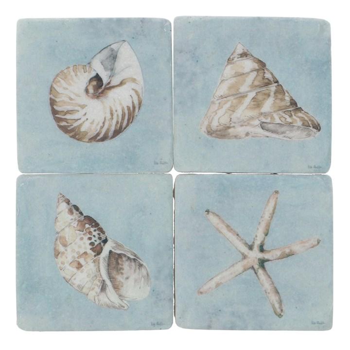 gisela graham Set of 4 Resin Coasters - Shells