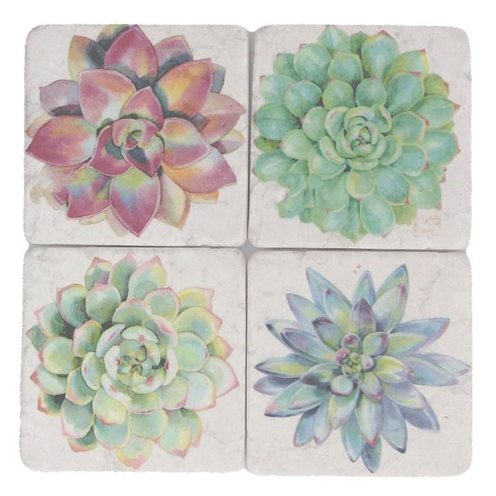 gisela graham Set of 4 Resin Coasters - Succulents