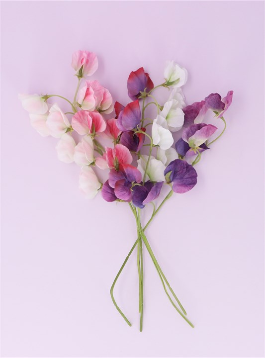 Gisela Graham Set Of 5 Picks - Sweetpea