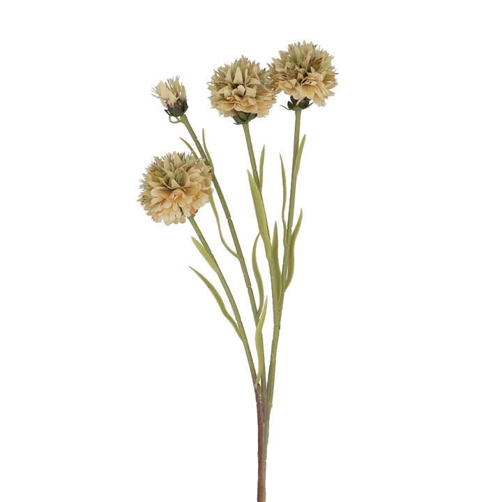 gisela graham Spray - Antique Cream Echinops
