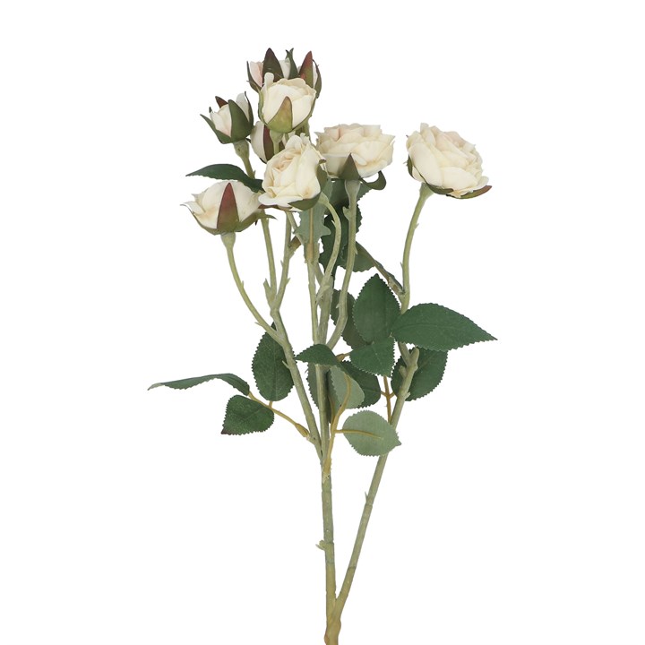 gisela graham Spray - Antique Cream Rosebud