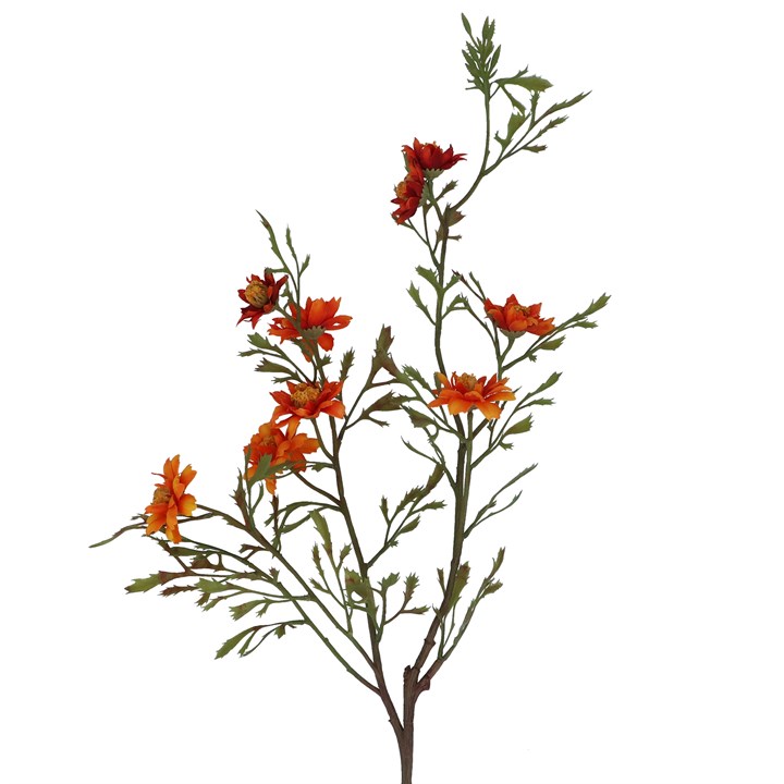 gisela graham Spray - Antique Orange Wild Aster