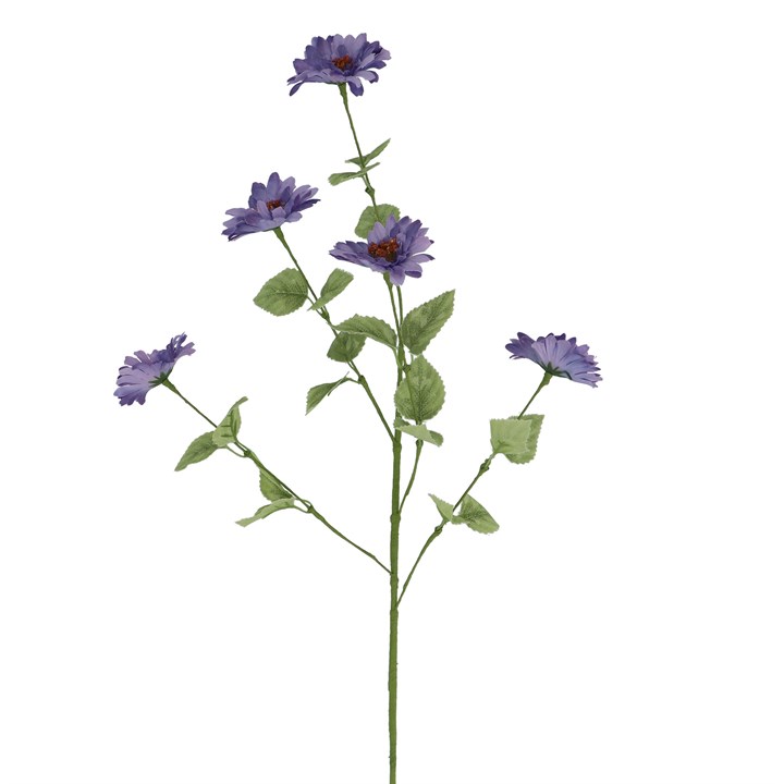 gisela graham Spray - Blue Aster