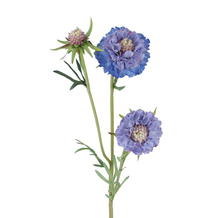 gisela graham Spray - Blue Scabiosa