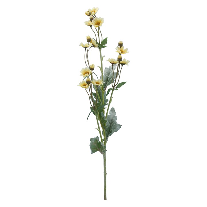 gisela graham Spray - Cream Wild Daisy