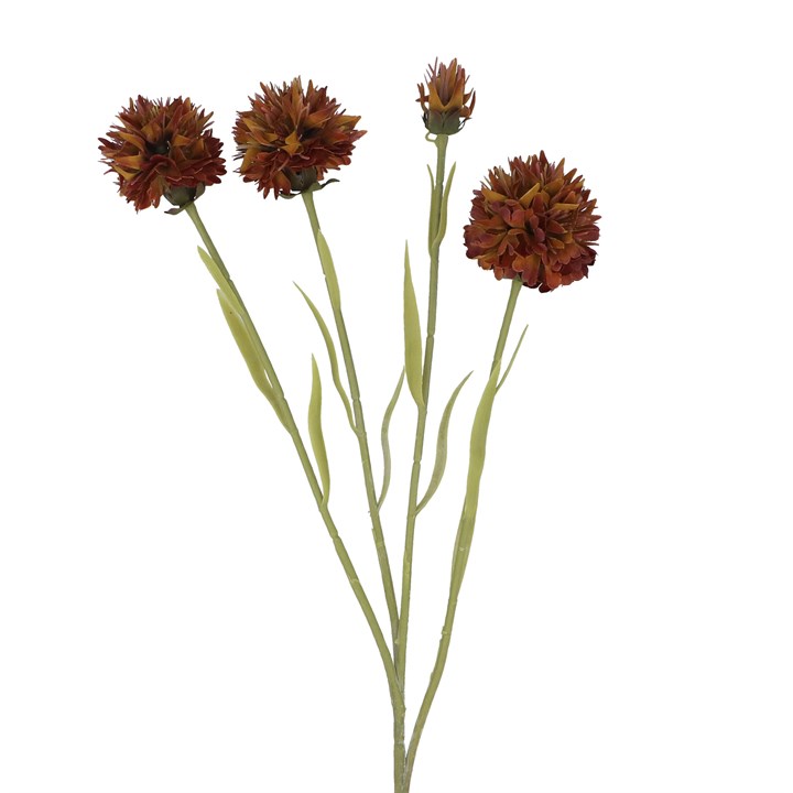 gisela graham Spray - Dark Tan Echinops