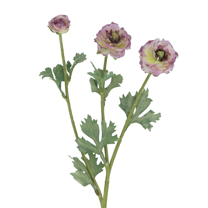 gisela graham Spray - Mauve Ranunculus Picotee