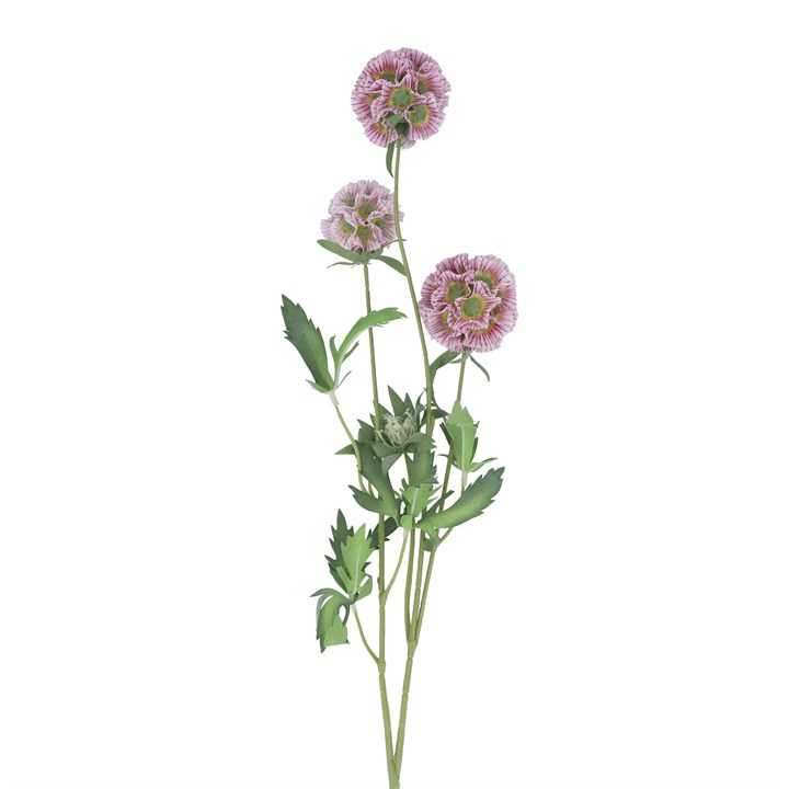 gisela graham Spray - Mauve Starflower Pincushion