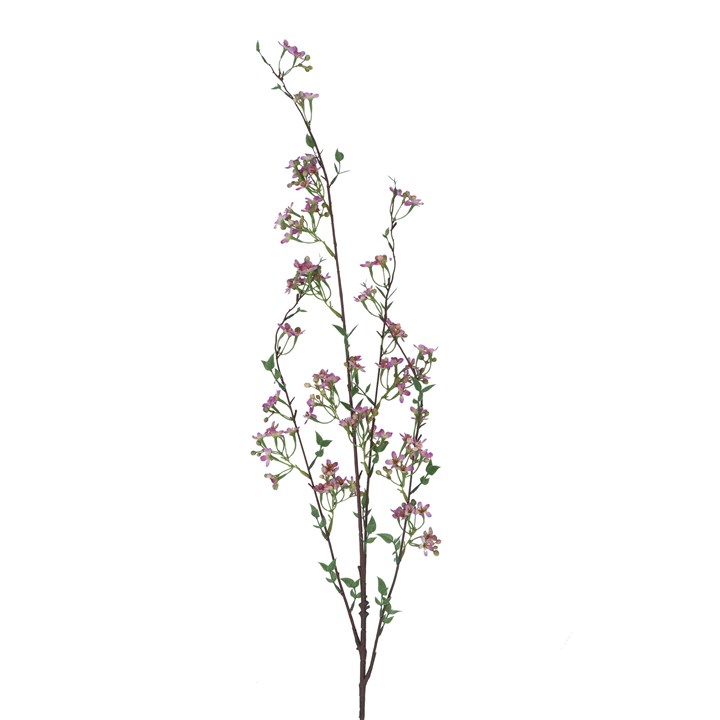 gisela graham Spray - Mauve Wintersweet