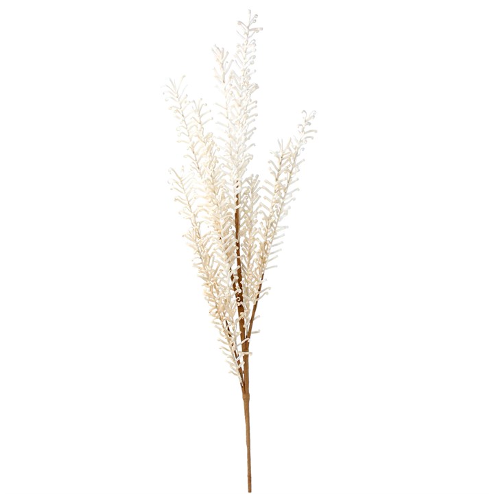 gisela graham Spray - Natural Feathered Reed