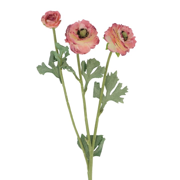 gisela graham Spray - Pink Ranunculus Picotee
