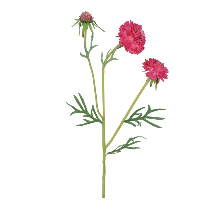 gisela graham Spray - Pink Scabiosa