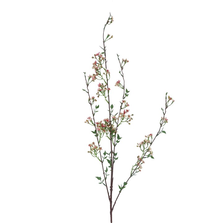 gisela graham Spray - Pink Wintersweet