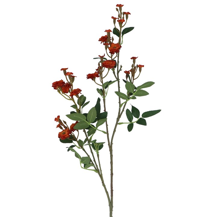 gisela graham Spray - Sienna Orange Miniature Rose