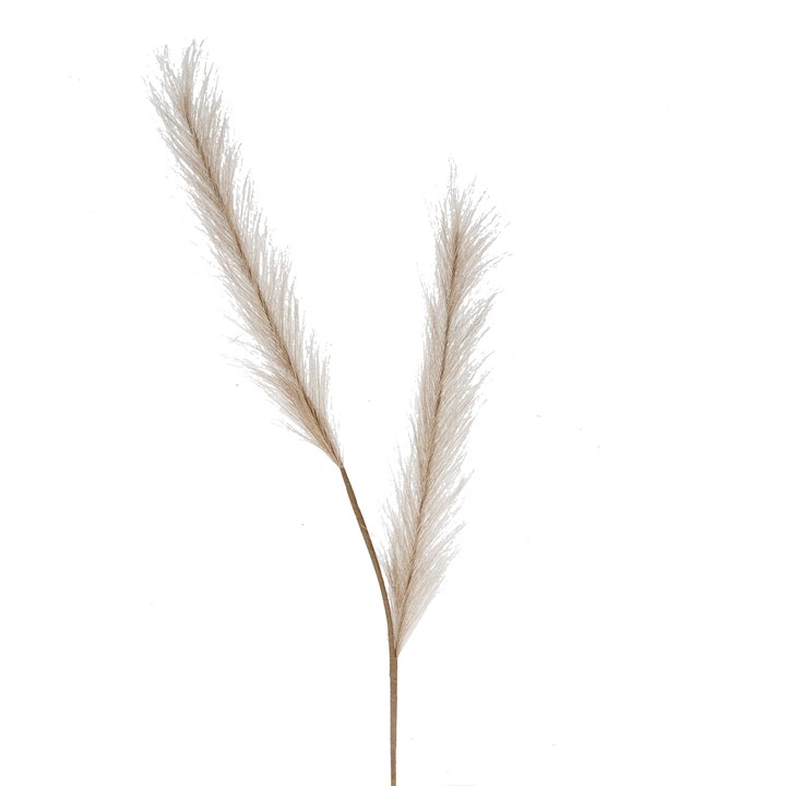 gisela graham Spray - Taupe Slim Double Pampas