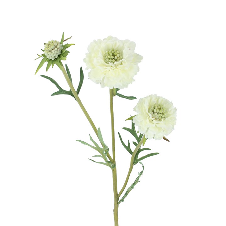 gisela graham Spray - White Scabiosa