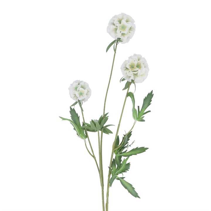 gisela graham Spray - White Starflower Pincushion