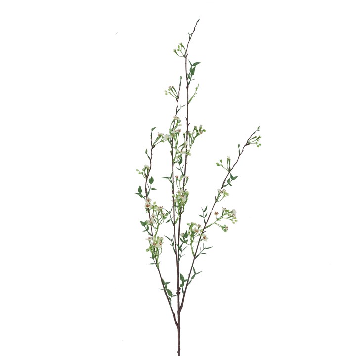 gisela graham Spray - White Wintersweet