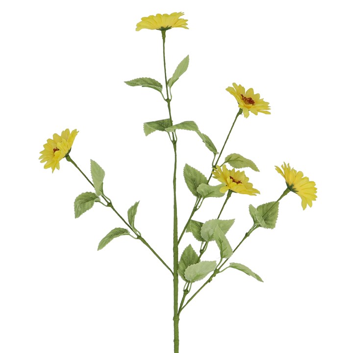 gisela graham Spray - Yellow Aster