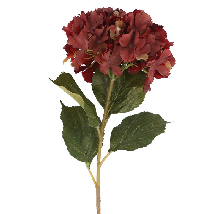gisela graham Stem - Antique Burgundy Hydrangea