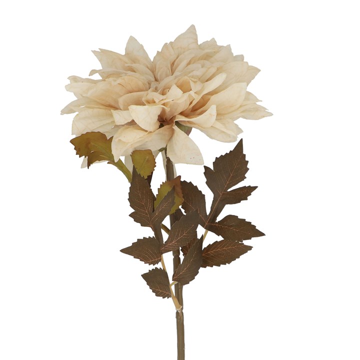gisela graham Stem - Antique Cream Dahlia