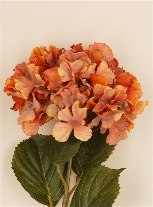 Gisela Graham Stem - Antique Orange Hydrangea
