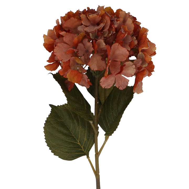 gisela graham Stem - Antique Orange Hydrangea