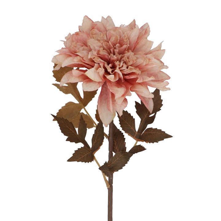 gisela graham Stem - Antique Pink Dahlia