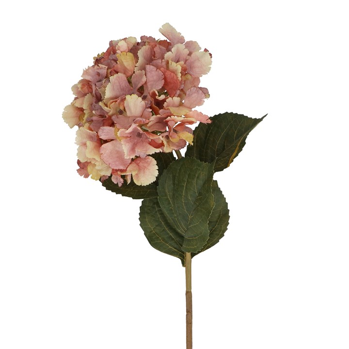 gisela graham Stem - Antique Pink Hydrangea
