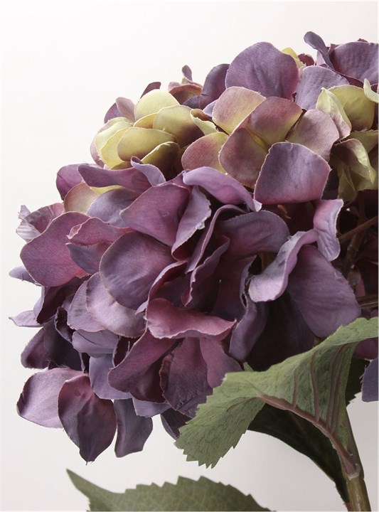 Gisela Graham Stem - Antique Purple Giant Hydrangea