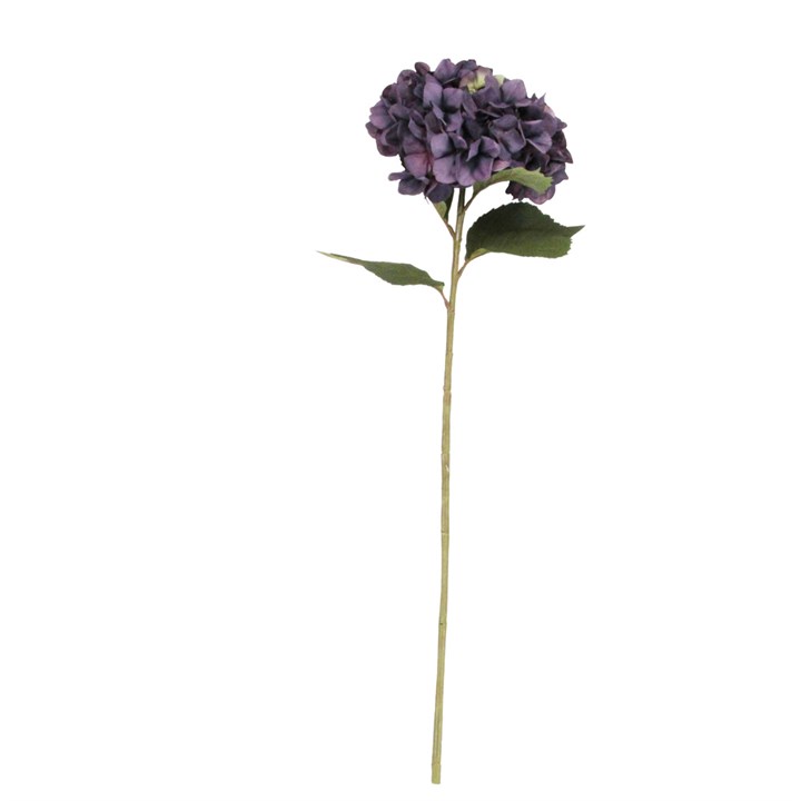 gisela graham Stem - Antique Purple Giant Hydrangea
