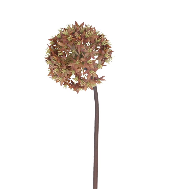 gisela graham Stem - Antique Russet Allium