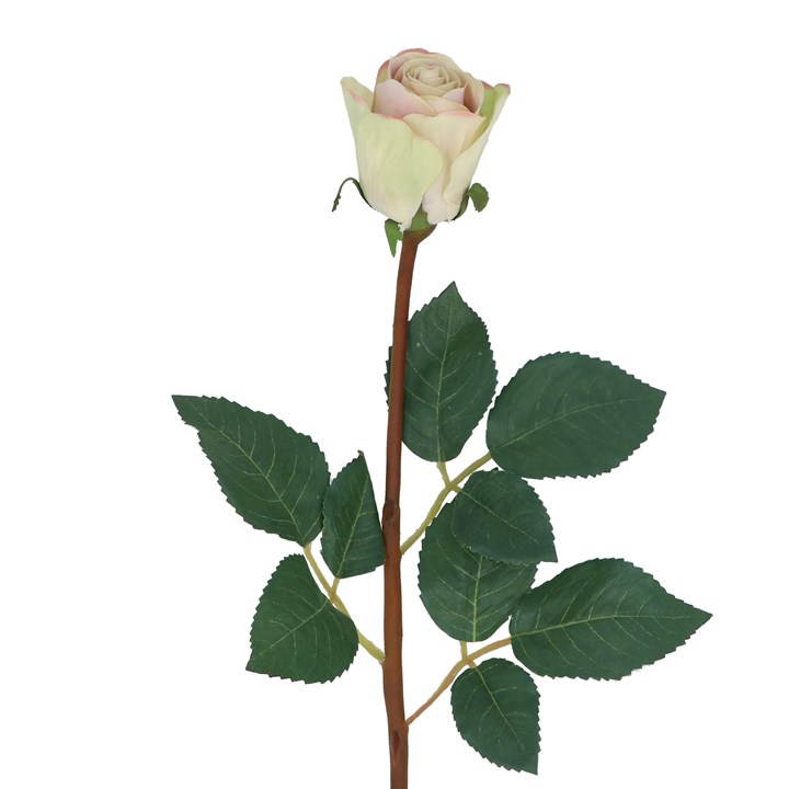 gisela graham Stem - Blush Pink Single Rosebud