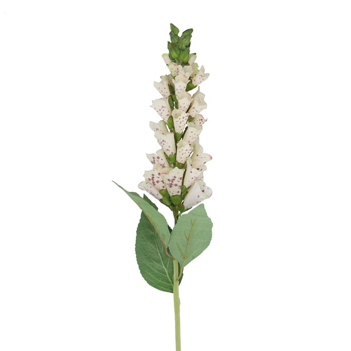 gisela graham Stem - Cream Foxglove