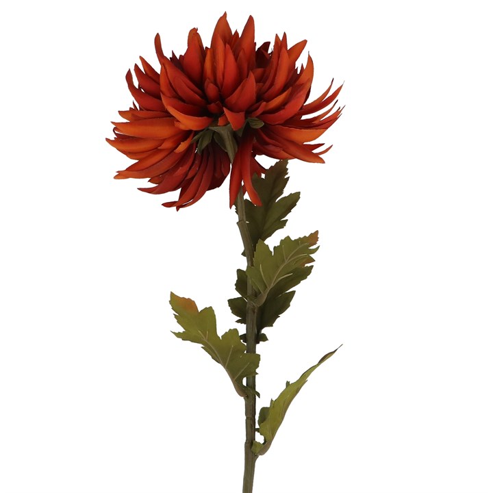 gisela graham Stem - Dark Orange Chrysanthemum