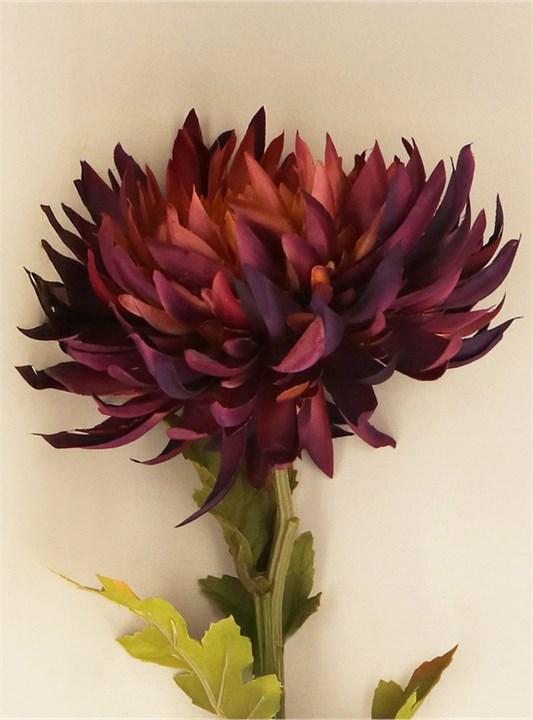 Gisela Graham Stem - Dark Purple Chrysanthemum