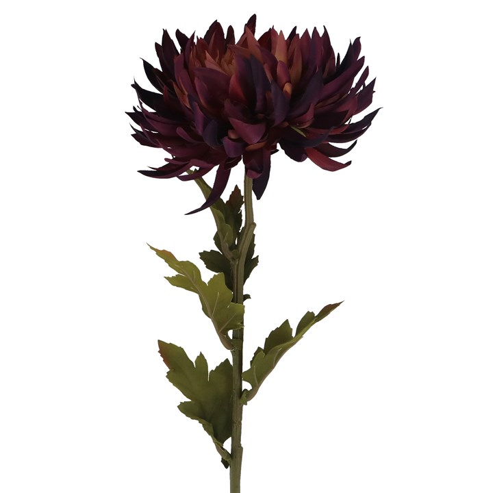 gisela graham Stem - Dark Purple Chrysanthemum