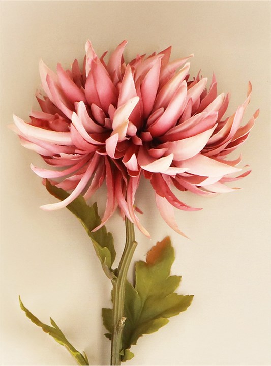Gisela Graham Stem - Dusty Pink Chrysanthemum