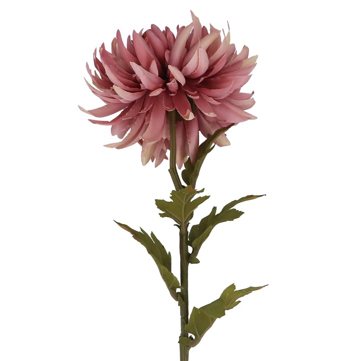 gisela graham Stem - Dusty Pink Chrysanthemum
